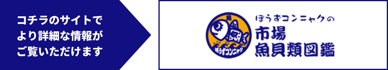 図鑑